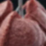 Understanding Stage 4 Non-Small Cell Lung Cancer: Life Expectancy and Factors Influencing Outcomes Introduction