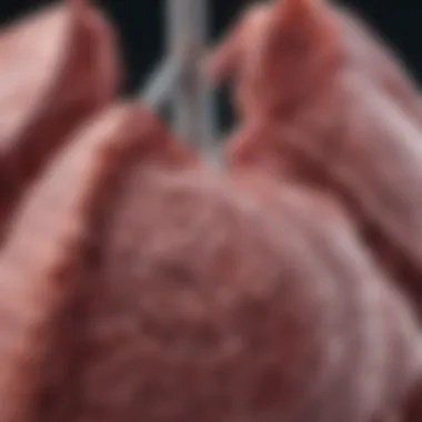 Understanding Stage 4 Non-Small Cell Lung Cancer: Life Expectancy and Factors Influencing Outcomes Introduction