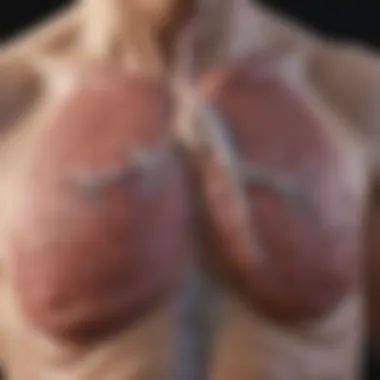 Notable Understanding Stage 4 Non-Small Cell Lung Cancer: Life Expectancy and Factors Influencing Outcomes