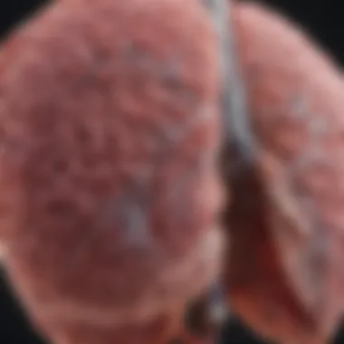 Understanding Stage 4 Non-Small Cell Lung Cancer: Life Expectancy and Factors Influencing Outcomes Summary