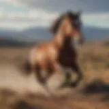 Majestic wild horse galloping across a vast landscape