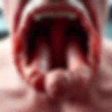 Understanding Tumors Near the Esophagus: A Comprehensive Overview Introduction