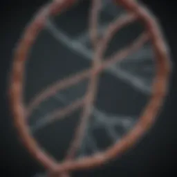 DNA strand symbolizing genetic relationships