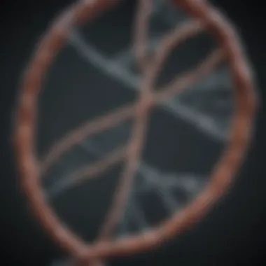 Genetic Relationships in Immigration DNA strand symbolizing genetic relationships