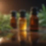 A selection of essential oils known for their tick-repelling properties.