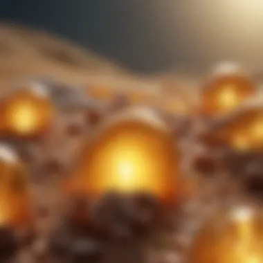 Vitamin D and Immune Functionality Immune system response