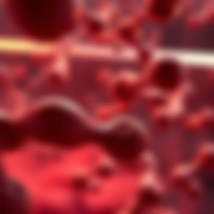 Notable Vitamin Influence on Hemoglobin Levels Notable Vitamin Influence on Hemoglobin Levels