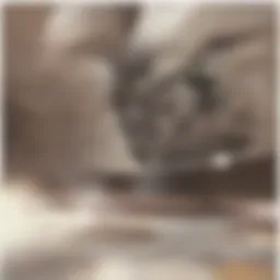 Cassava flour in a rustic bowl showcasing its texture and color